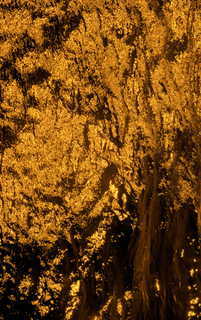 Les merveilles de l’eau — photographie 12, Stéphanie Reiss