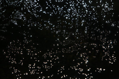 Les merveilles de l’eau — photographie 14, Stéphanie Reiss