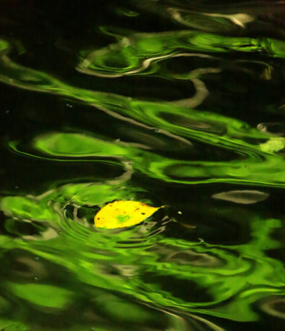 Les merveilles de l’eau — photographie 19, Stéphanie Reiss
