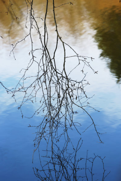 Les merveilles de l’eau — photographie 26, Stéphanie Reiss