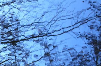 Les merveilles de l’eau — photographie 28, Stéphanie Reiss