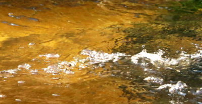 Les merveilles de l’eau — photographie 30, Stéphanie Reiss