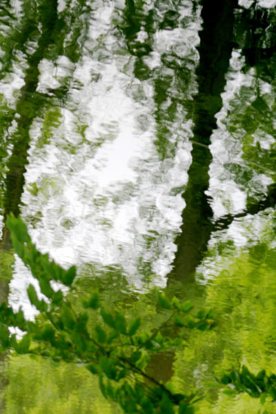 Les merveilles de l’eau — photographie 34, Stéphanie Reiss