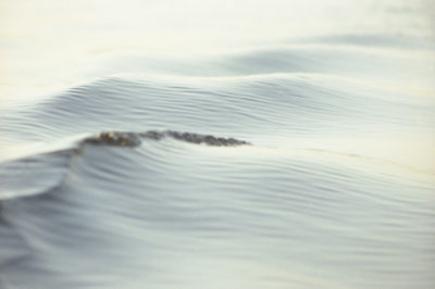 Les merveilles de l’eau — photographie 3, Stéphanie Reiss