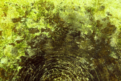 Les merveilles de l’eau — photographie 44, Stéphanie Reiss