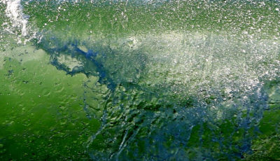 Les merveilles de l’eau — photographie 47, Stéphanie Reiss
